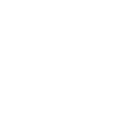 炎症と再生のクロスロード：異分野融合で拓く未来